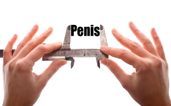 the small penis in the man, as this affects the sexual life